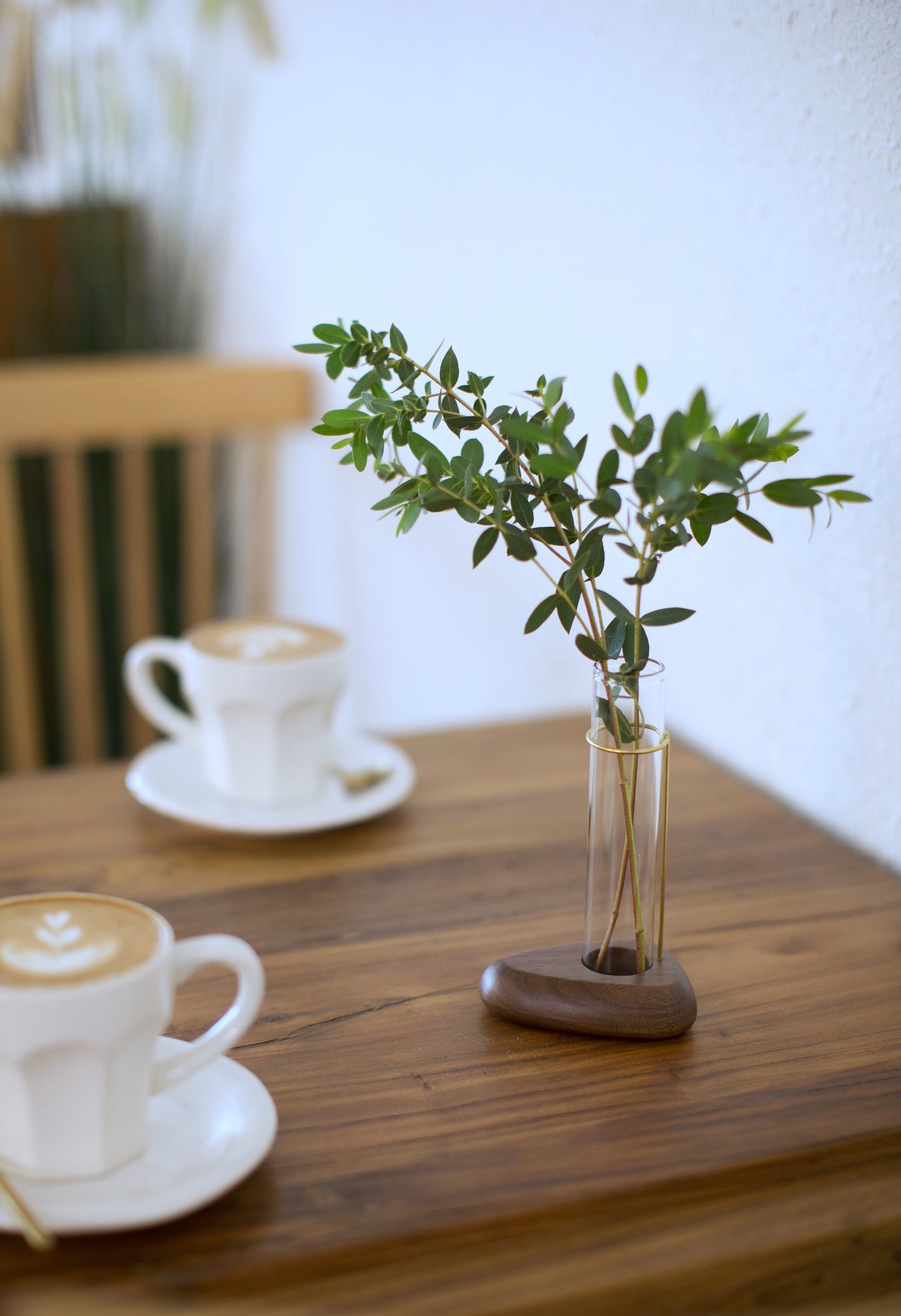 Cosymple Pebble Propagation Vase, Walnut Wood Propagation Station